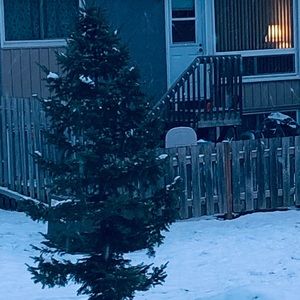 Meet your Posher, Marion